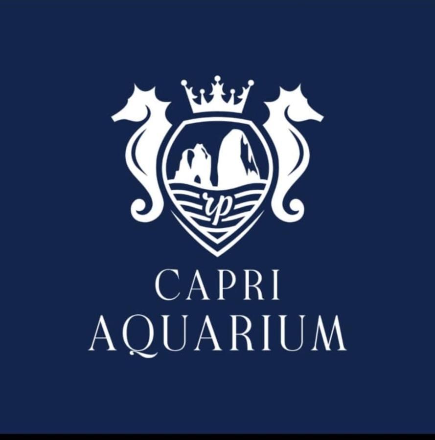 Capri Aquarium Family - Vacation Home Exteriör bild